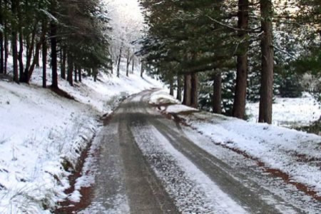 Cochin to Shimla honeymoon tour packages