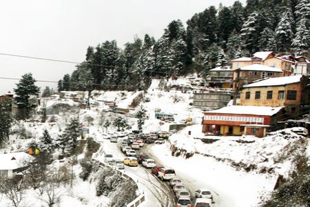 Ludhiana to Shimla honeymoon tour packages