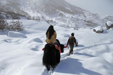 Ranchi to Shimla honeymoon tour packages