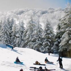 Shimla tour package from Chennai 1 Night 2 Days by Flight